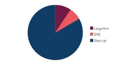 UK kinds of firms in first two cohorts